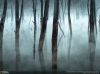 Filename=i_267.jpg
Filesize=24KB
Dimensions=427x320
Date added=Dec 03, 2018 i_267.jpg