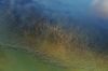 Filename=i_271.jpg
Filesize=31KB
Dimensions=480x320
Date added=Dec 03, 2018 i_271.jpg