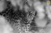 Filename=i_278.jpg
Filesize=19KB
Dimensions=480x320
Date added=Dec 03, 2018 i_278.jpg