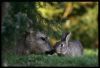 Filename=96070817_1317374217_1315418743_094aa285cbbet.jpg
Filesize=47KB
Dimensions=698x477
Date added=Dec 03, 2018 96070817_1317374217_1315418743_094aa285cbbet.jpg