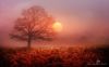 Filename=96323776_2.jpg
Filesize=109KB
Dimensions=699x434
Date added=Dec 03, 2018 96323776_2.jpg