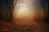 Filename=96323783_9.jpg
Filesize=150KB
Dimensions=699x466
Date added=Dec 03, 2018 96323783_9.jpg