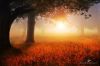 Filename=96323784_10.jpg
Filesize=153KB
Dimensions=699x466
Date added=Dec 03, 2018 96323784_10.jpg