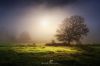 Filename=96323787_13.jpg
Filesize=112KB
Dimensions=699x466
Date added=Dec 03, 2018 96323787_13.jpg