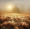 Filename=96323802_28.jpg
Filesize=206KB
Dimensions=670x661
Date added=Dec 03, 2018 96323802_28.jpg