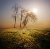 Filename=96323810_35.jpg
Filesize=172KB
Dimensions=670x660
Date added=Dec 03, 2018 96323810_35.jpg