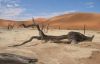 Filename=97369032_10.jpg
Filesize=57KB
Dimensions=699x452
Date added=Dec 03, 2018 97369032_10.jpg
