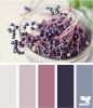 88317517_ElderberryTones.png