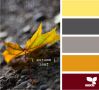 Filename=Autumn-Leaf-Color-Scheme.png
Filesize=190KB
Dimensions=440x400
Date added=Dec 03, 2018 Autumn-Leaf-Color-Scheme.png