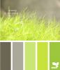 Filename=grassybrights6051.png
Filesize=168KB
Dimensions=400x461
Date added=Dec 03, 2018 grassybrights6051.png