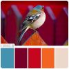 Filename=red-turquoise.jpg
Filesize=155KB
Dimensions=510x510
Date added=Dec 03, 2018 red-turquoise.jpg