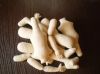 i_080.jpg