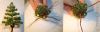 Filename=107776934_5_3.jpg
Filesize=21KB
Dimensions=520x170
Date added=Dec 03, 2018 107776934_5_3.jpg