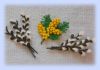 Filename=120904839_DSCN3672.JPG
Filesize=340KB
Dimensions=699x490
Date added=Dec 03, 2018 120904839_DSCN3672.JPG