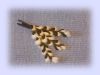 120904842_DSCN3669.JPG