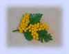 120904844_DSCN3679.JPG