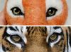 1d61f1cbc703.jpg