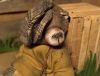Filename=i_017.jpg
Filesize=27KB
Dimensions=416x320
Date added=Dec 03, 2018 i_017.jpg