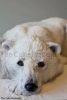 Filename=i_061.jpg
Filesize=10KB
Dimensions=217x320
Date added=Dec 03, 2018 i_061.jpg