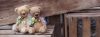 Filename=i_097.jpg
Filesize=116KB
Dimensions=1396x522
Date added=Dec 03, 2018 i_097.jpg