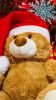 Filename=i_167.jpg
Filesize=17KB
Dimensions=180x320
Date added=Dec 03, 2018 i_167.jpg